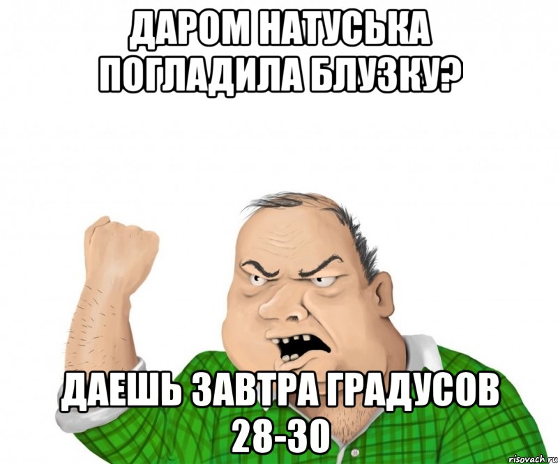 даром натуська погладила блузку? даешь завтра градусов 28-30, Мем мужик