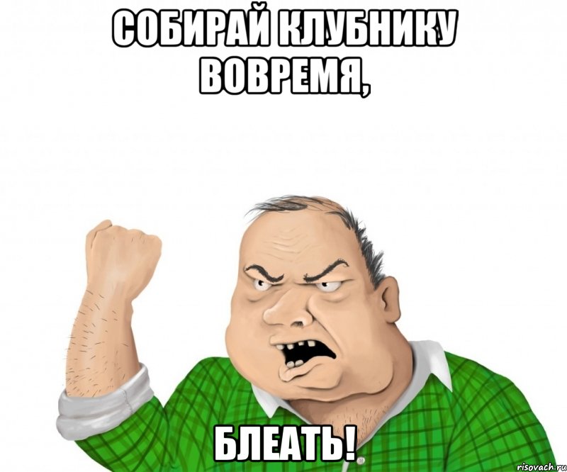 собирай клубнику вовремя, блеать!, Мем мужик