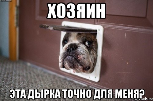 хозяин эта дырка точно для меня?, Мем н