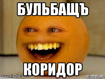 бульбащъ коридор, Мем Надоедливый апельсин