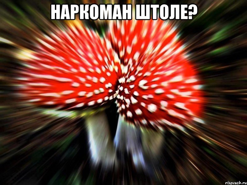 наркоман штоле? , Мем наркоман штоле
