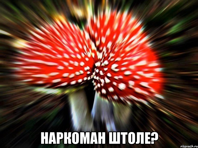  наркоман штоле?, Мем наркоман штоле