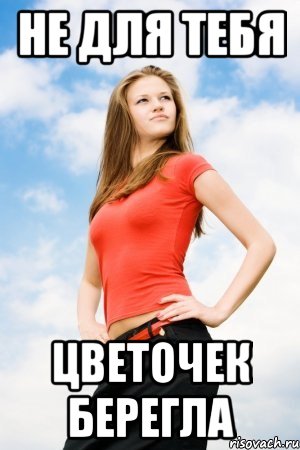 не для тебя цветочек берегла, Мем Не для тебя