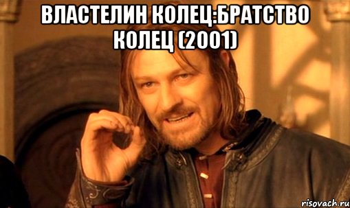 властелин колец:братство колец (2001) , Мем Нельзя просто так взять и (Боромир мем)