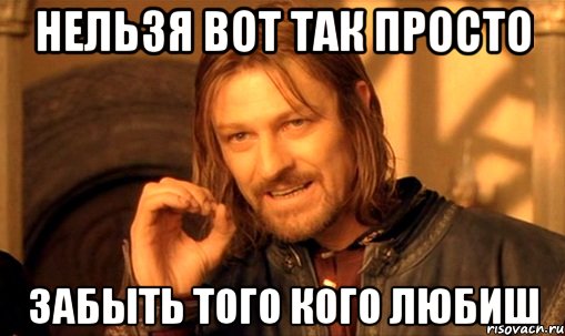 нельзя вот так просто забыть того кого любиш, Мем Нельзя просто так взять и (Боромир мем)