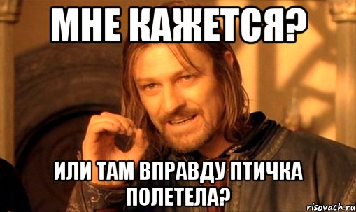 мне кажется? или там вправду птичка полетела?, Мем Нельзя просто так взять и (Боромир мем)