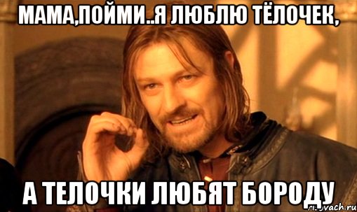 мама,пойми..я люблю тёлочек, а телочки любят бороду, Мем Нельзя просто так взять и (Боромир мем)