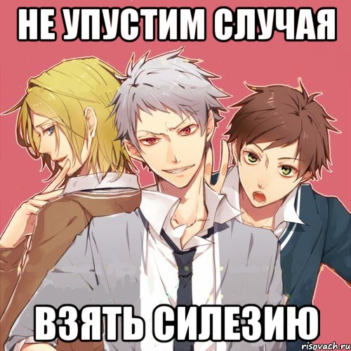 не упустим случая взять силезию