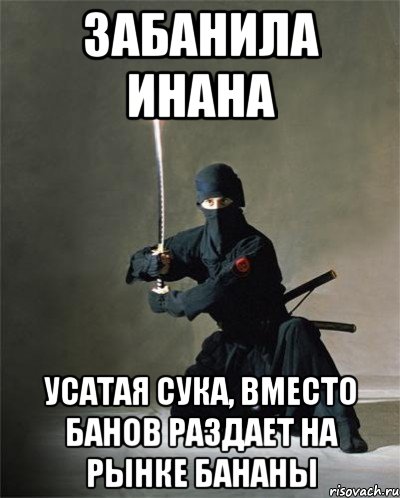 забанила инана усатая сука, вместо банов раздает на рынке бананы, Мем ниндзя
