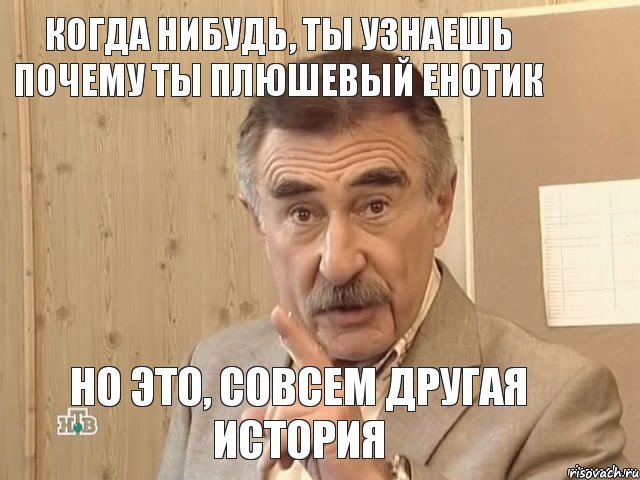 Когда нибудь, ты узнаешь почему ты плюшевый енотик Но это, совсем другая история, Мем Каневский (Но это уже совсем другая история)