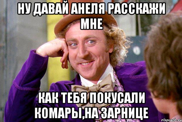 ну давай анеля расскажи мне как тебя покусали комары,на зарнице, Мем Ну давай расскажи (Вилли Вонка)