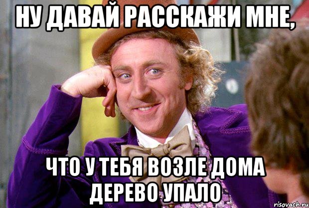 ну давай расскажи мне, что у тебя возле дома дерево упало, Мем Ну давай расскажи (Вилли Вонка)