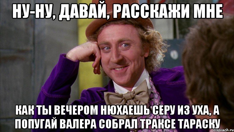 ну-ну, давай, расскажи мне как ты вечером нюхаешь серу из уха, а попугай валера собрал траксе тараску, Мем Ну давай расскажи (Вилли Вонка)