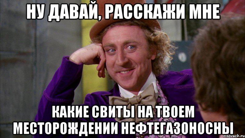 ну давай, расскажи мне какие свиты на твоем месторождении нефтегазоносны, Мем Ну давай расскажи (Вилли Вонка)