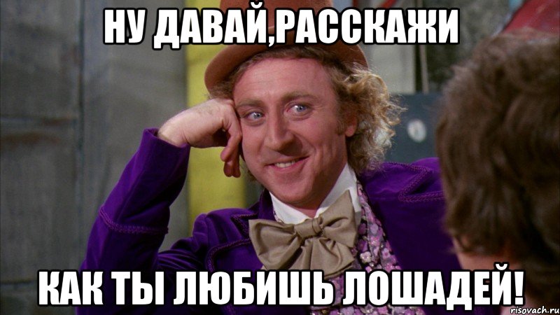 ну давай,расскажи как ты любишь лошадей!, Мем Ну давай расскажи (Вилли Вонка)