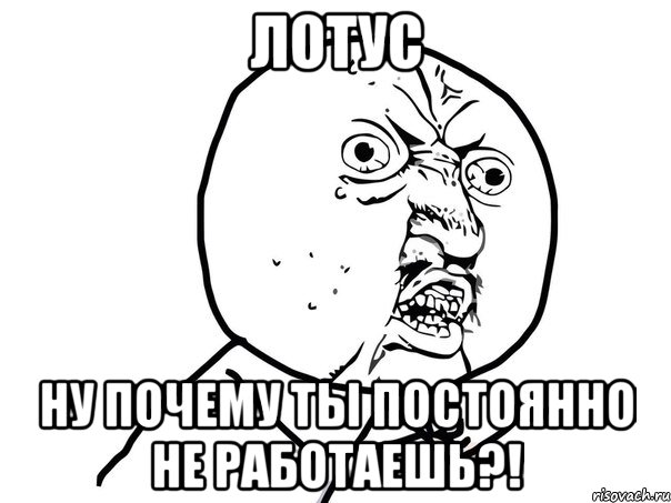 лотус ну почему ты постоянно не работаешь?!, Мем Ну почему (белый фон)