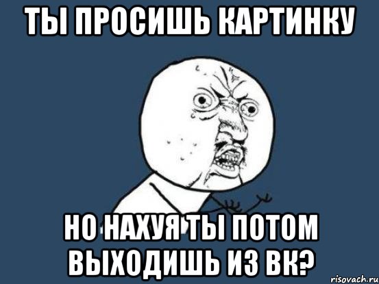 ты просишь картинку но нахуя ты потом выходишь из вк?, Мем Ну почему