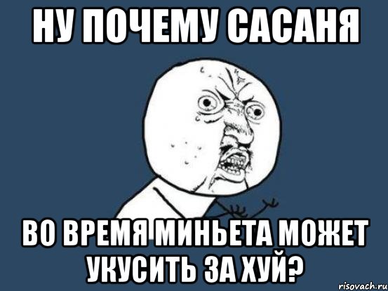 ну почему сасаня во время миньета может укусить за хуй?, Мем Ну почему