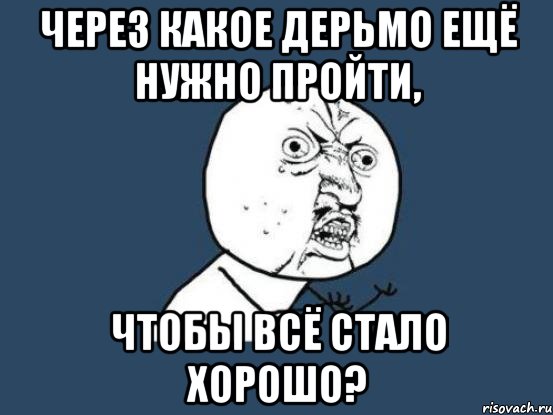 через какое дерьмо ещё нужно пройти, чтобы всё стало хорошо?, Мем Ну почему