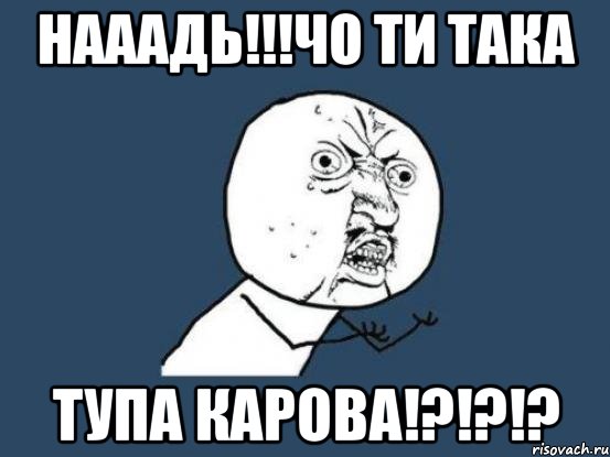 нааадь!!!чо ти така тупа карова!?!?!?, Мем Ну почему