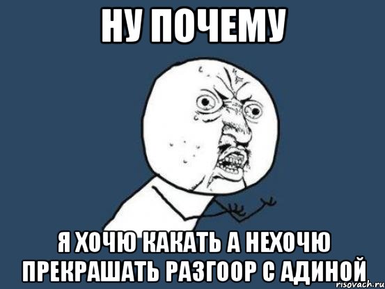 ну почему я хочю какать а нехочю прекрашать разгоор с адиной, Мем Ну почему