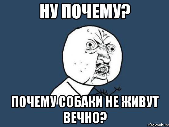 ну почему? почему собаки не живут вечно?, Мем Ну почему