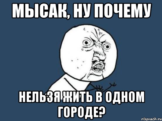 мысак, ну почему нельзя жить в одном городе?, Мем Ну почему