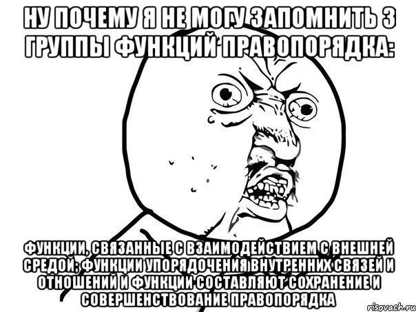 ну почему я не могу запомнить 3 группы функций правопорядка: функции, связанные с взаимодействием с внешней средой; функции упорядочения внутренних связей и отношений и функции составляют сохранение и совершенствование правопорядка, Мем Ну почему (белый фон)