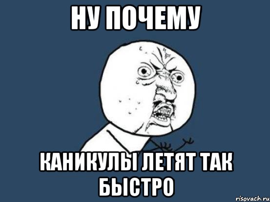 ну почему каникулы летят так быстро, Мем Ну почему