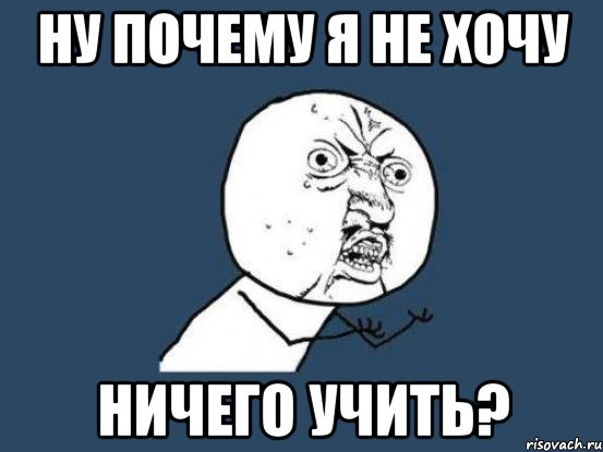ну почему я не хочу ничего учить?, Мем Ну почему