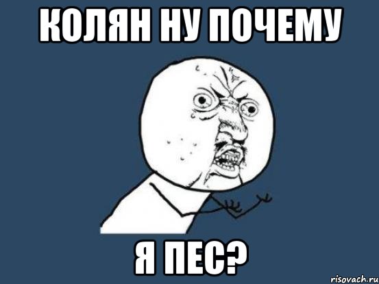 колян ну почему я пес?, Мем Ну почему