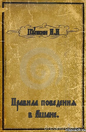 Пупкин И.И Правила поведения в Ашане., Комикс обложка книги