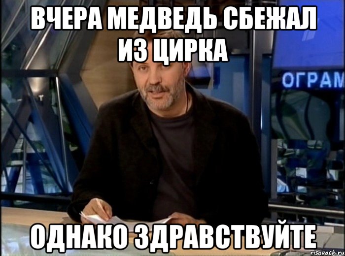 вчера медведь сбежал из цирка однако здравствуйте, Мем Однако Здравствуйте