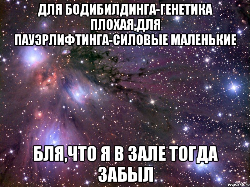 для бодибилдинга-генетика плохая,для пауэрлифтинга-силовые маленькие бля,что я в зале тогда забыл, Мем Космос