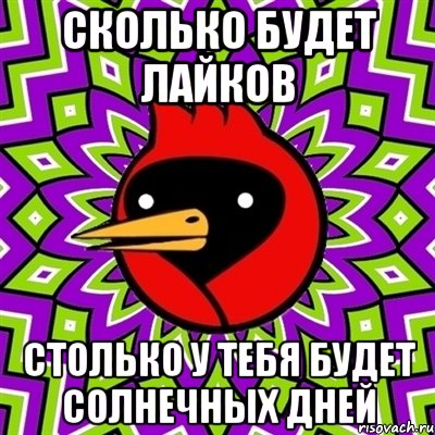 сколько будет лайков столько у тебя будет солнечных дней, Мем Омская птица