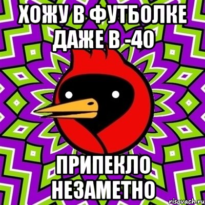 хожу в футболке даже в -40 припекло незаметно, Мем Омская птица