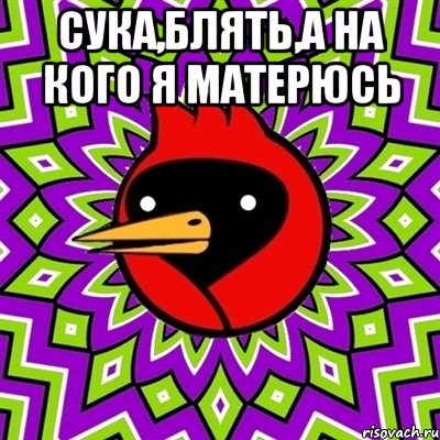 сука,блять,а на кого я матерюсь , Мем Омская птица