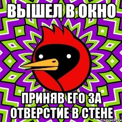 вышел в окно приняв его за отверстие в стене, Мем Омская птица