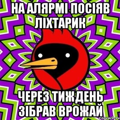 на алярмі посіяв ліхтарик через тиждень зібрав врожай, Мем Омская птица