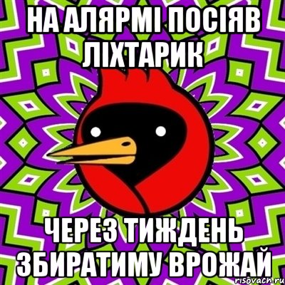 на алярмі посіяв ліхтарик через тиждень збиратиму врожай, Мем Омская птица