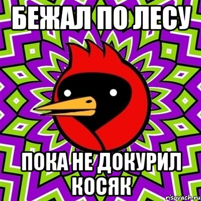 бежал по лесу пока не докурил косяк, Мем Омская птица