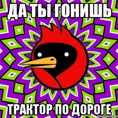 да ты гонишь трактор по дороге, Мем Омская птица