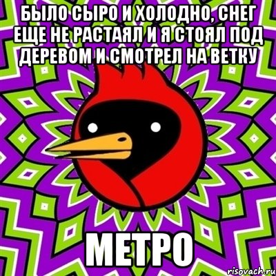 было сыро и холодно, снег еще не растаял и я стоял под деревом и смотрел на ветку метро, Мем Омская птица