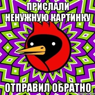 прислали ненужную картинку отправил обратно, Мем Омская птица