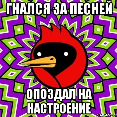 гнался за песней опоздал на настроение, Мем Омская птица