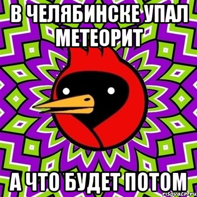 в челябинске упал метеорит а что будет потом, Мем Омская птица