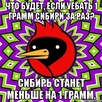 что будет, если уебать 1 грамм сибири за раз? сибирь станет меньше на 1 грамм., Мем Омская птица