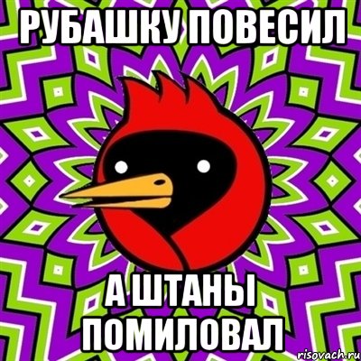 рубашку повесил а штаны помиловал, Мем Омская птица