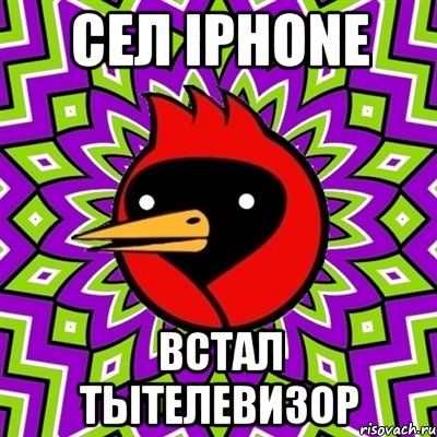 сел iphone встал тытелевизор, Мем Омская птица