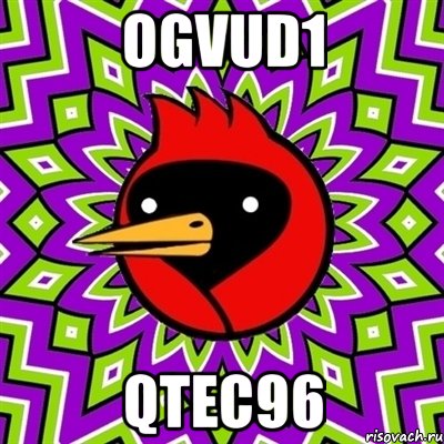 ogvud1 qtec96, Мем Омская птица